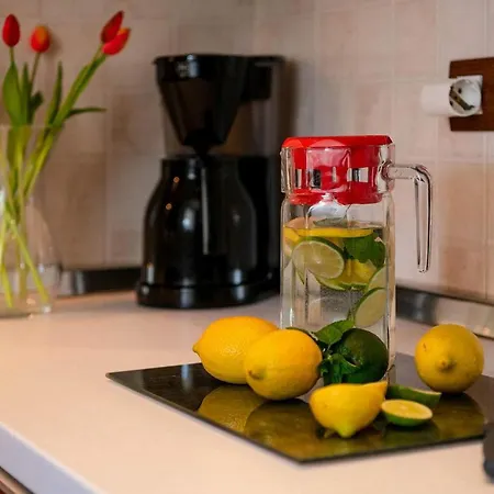 Amneris Σπίτι διακοπών Labin (Istria)