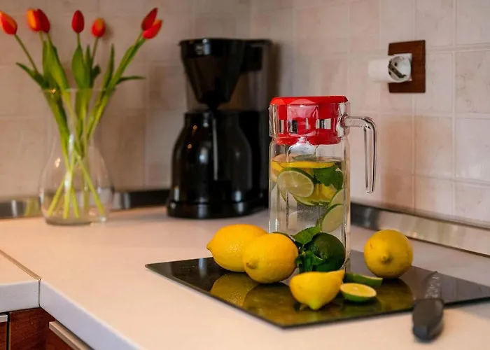 Amneris Semesterbostad Labin (Istria)